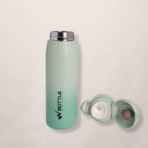 W Bottles' 480ml Insulated Stainless Steel Bottle