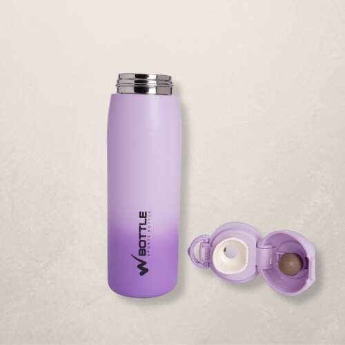 W Bottles' 480ml Insulated Stainless Steel Bottle