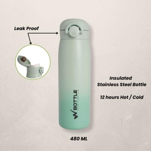 Insulated stainless steel Bottle