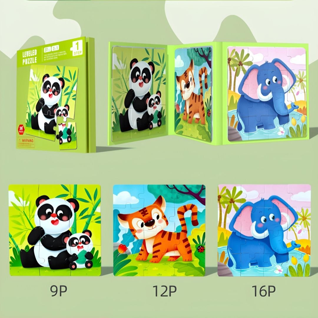 Magnetic Preschool Learning Puzzles