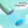Dinosaur Magnetic