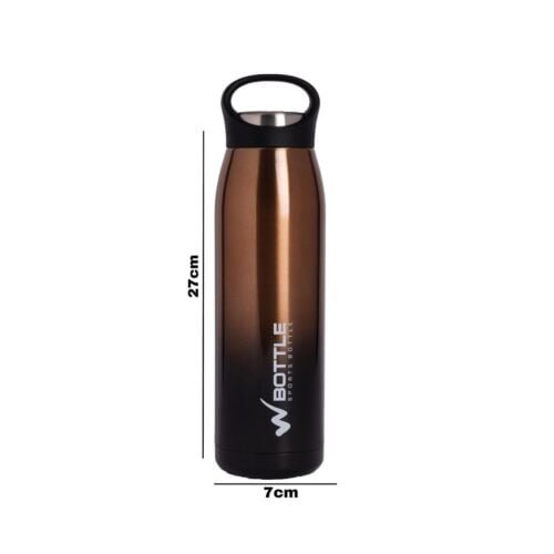 Brown Stainless steel bottle