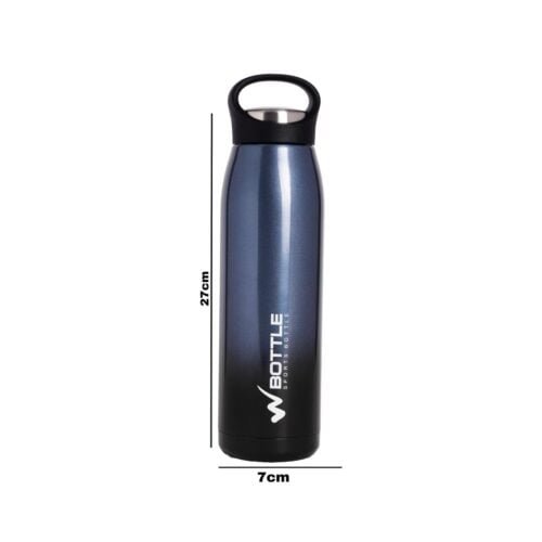 Metallic Blue Stainless Steel Bottle